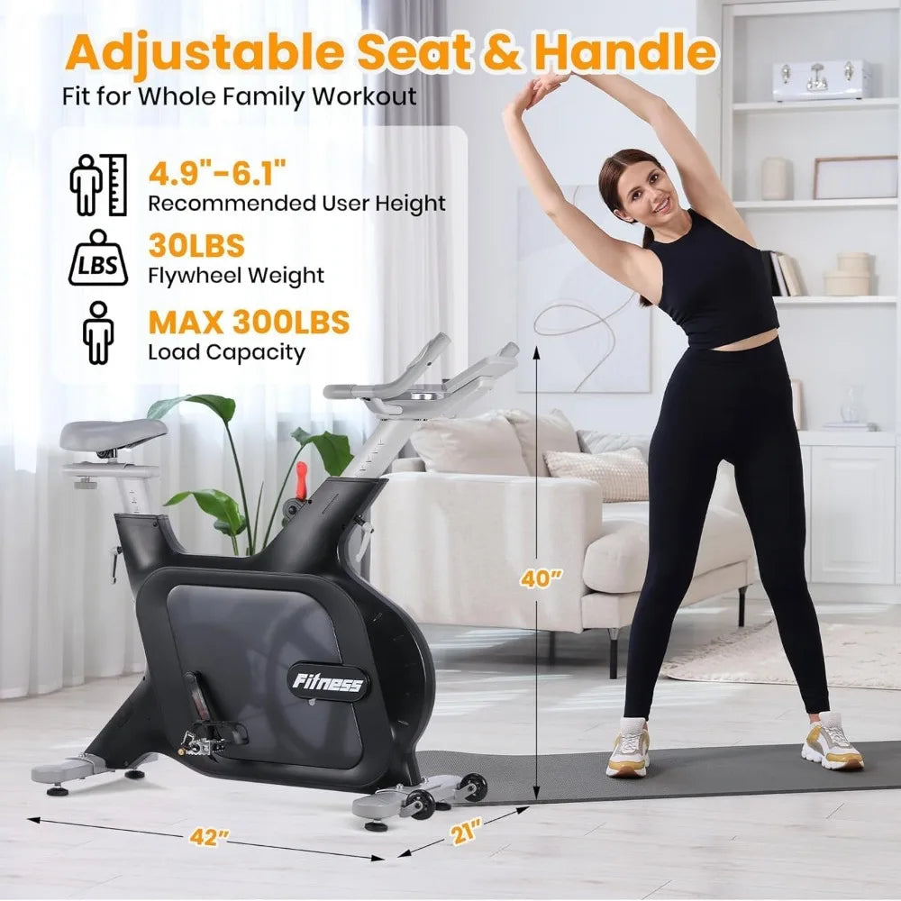 Electromagnetic Resistance Spin Bike