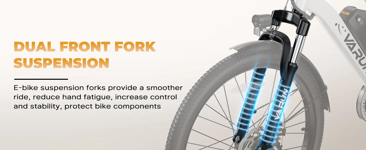 Varun City Cruiser E-Bike