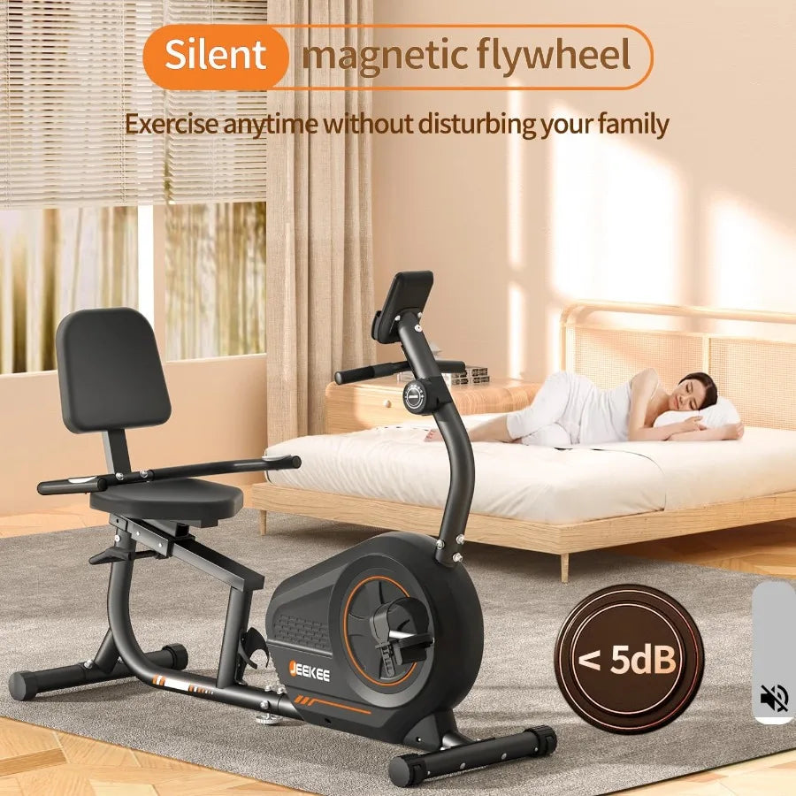 Recumbent Bike for Seniors