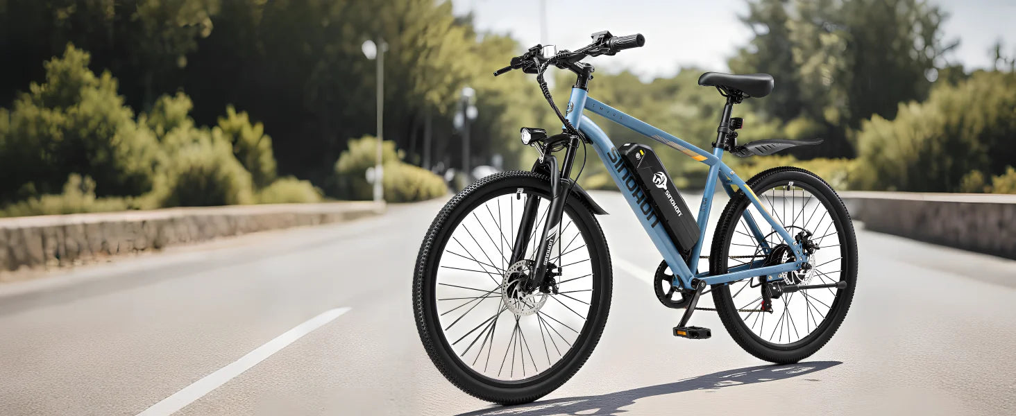 Mountain E-Bike