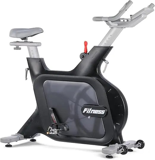 Electromagnetic Resistance Spin Bike