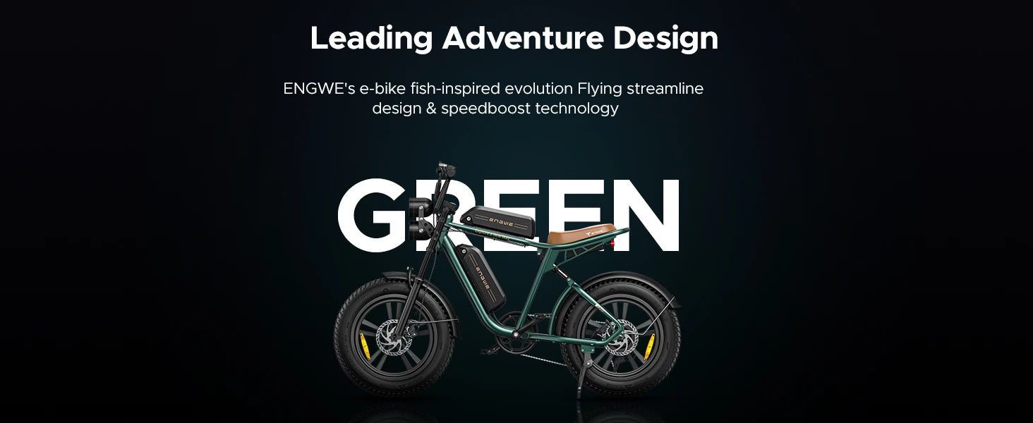 ENGWE 750W Electric Bike