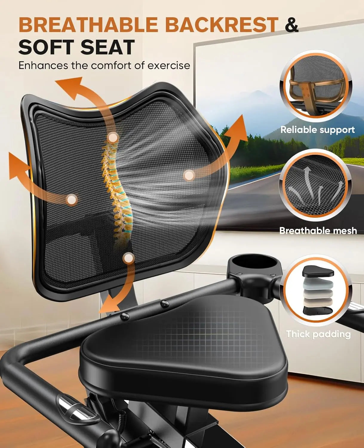 Recumbent Bike with Arm Exerciser