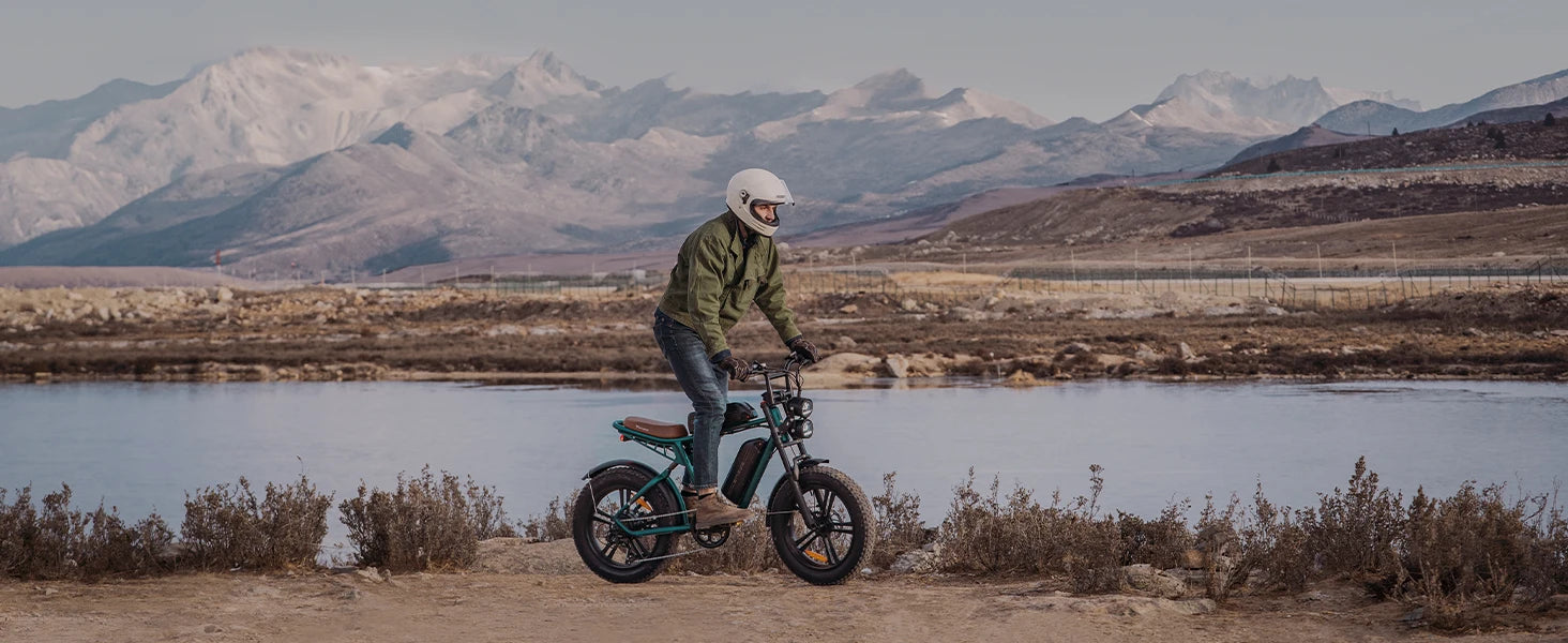 ENGWE 750W Electric Bike