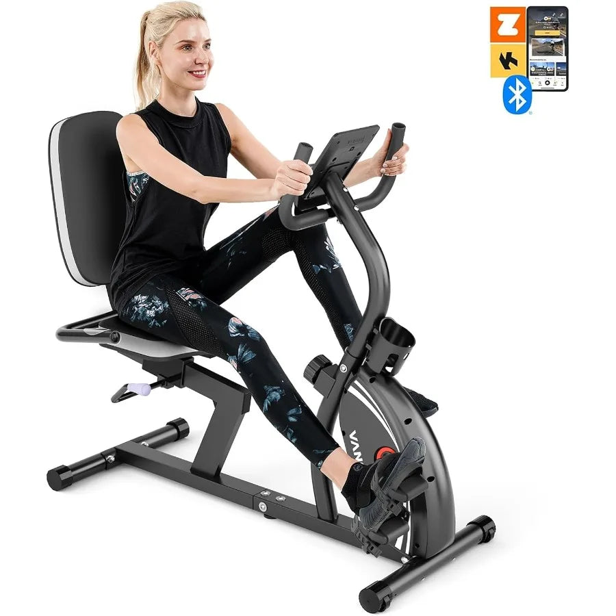 Recumbent Exercise Bike for Seniors