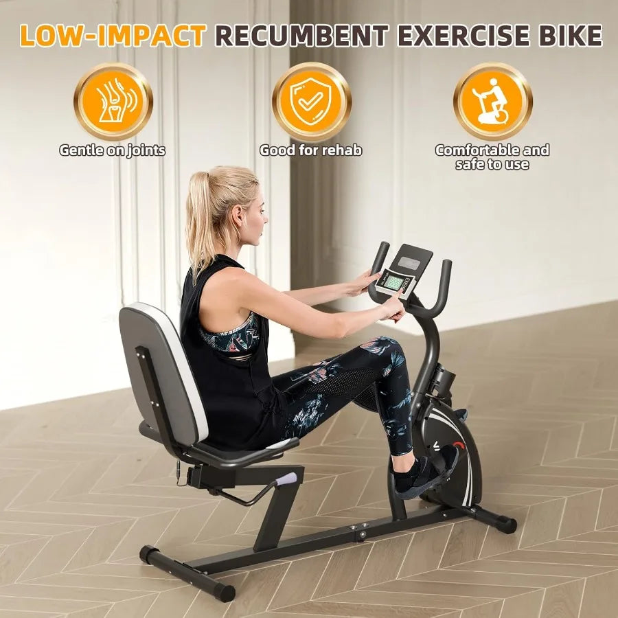 Recumbent Exercise Bike for Seniors