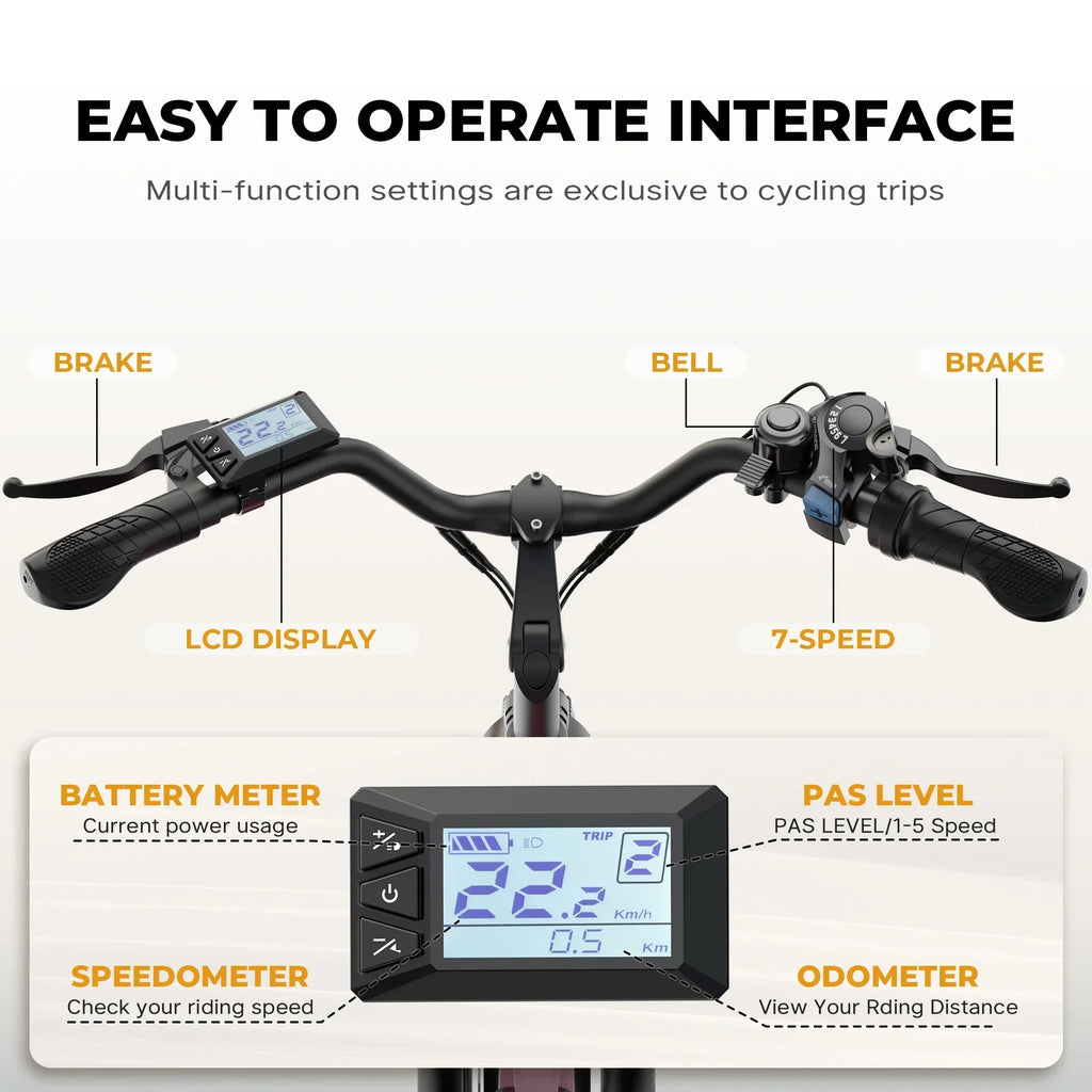 Varun City Cruiser E-Bike