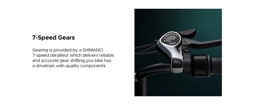 ENGWE 750W Electric Bike