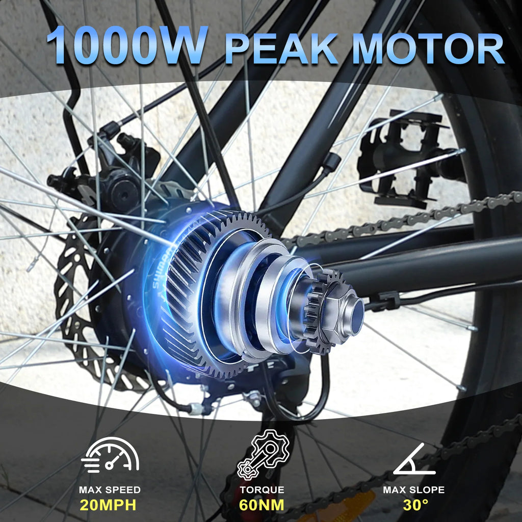 1000W 48V Electric Bike
