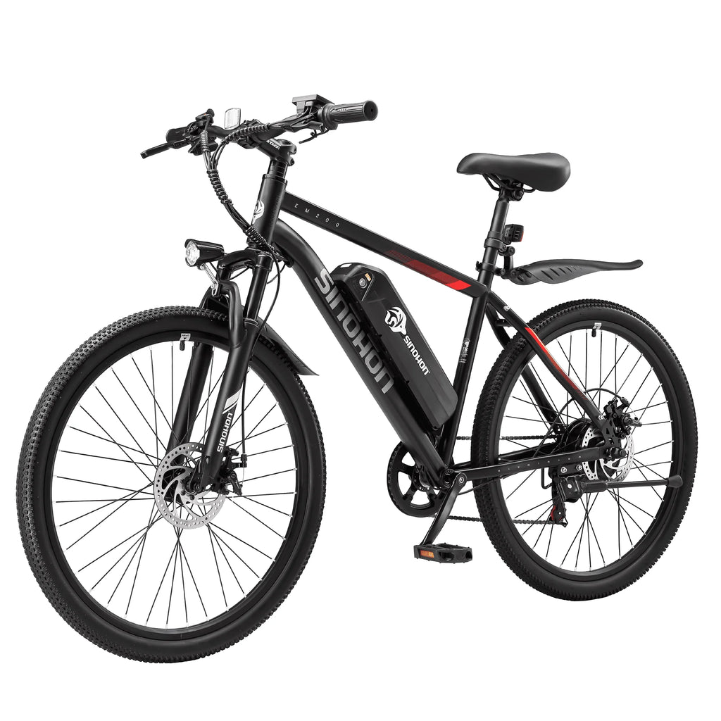 Mountain E-Bike