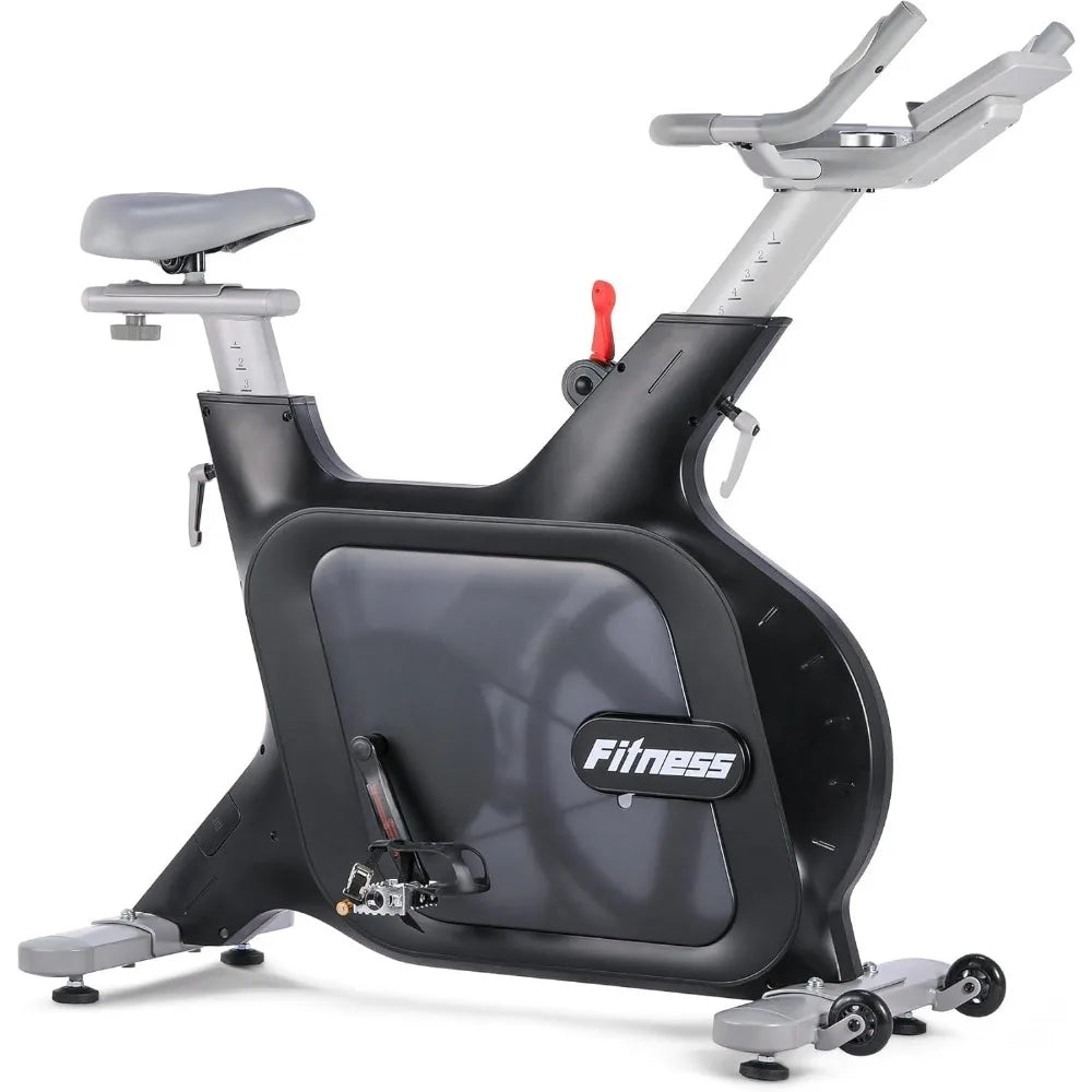 Electromagnetic Resistance Spin Bike