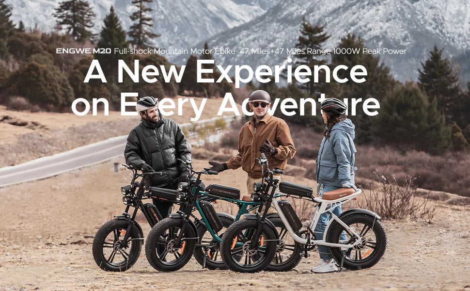 ENGWE 750W Electric Bike