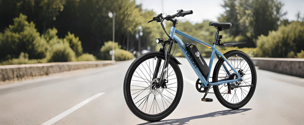 Mountain E-Bike