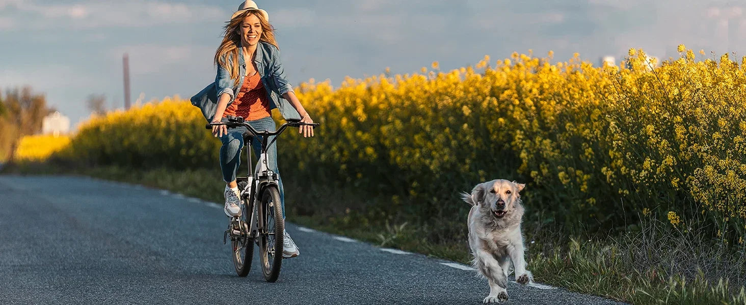 Varun City Cruiser E-Bike