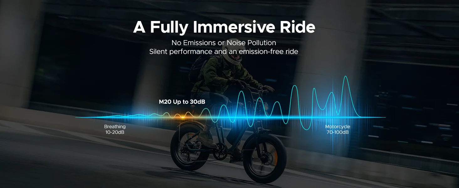 ENGWE 750W Electric Bike