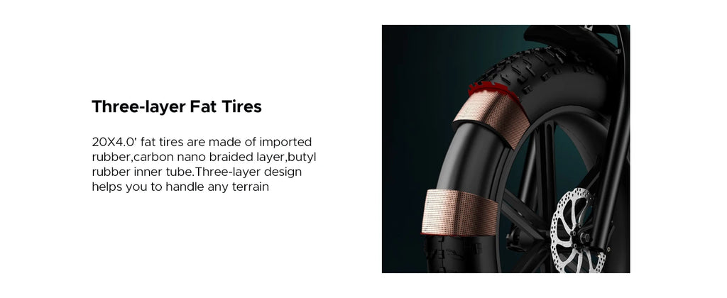 ENGWE 750W Electric Bike