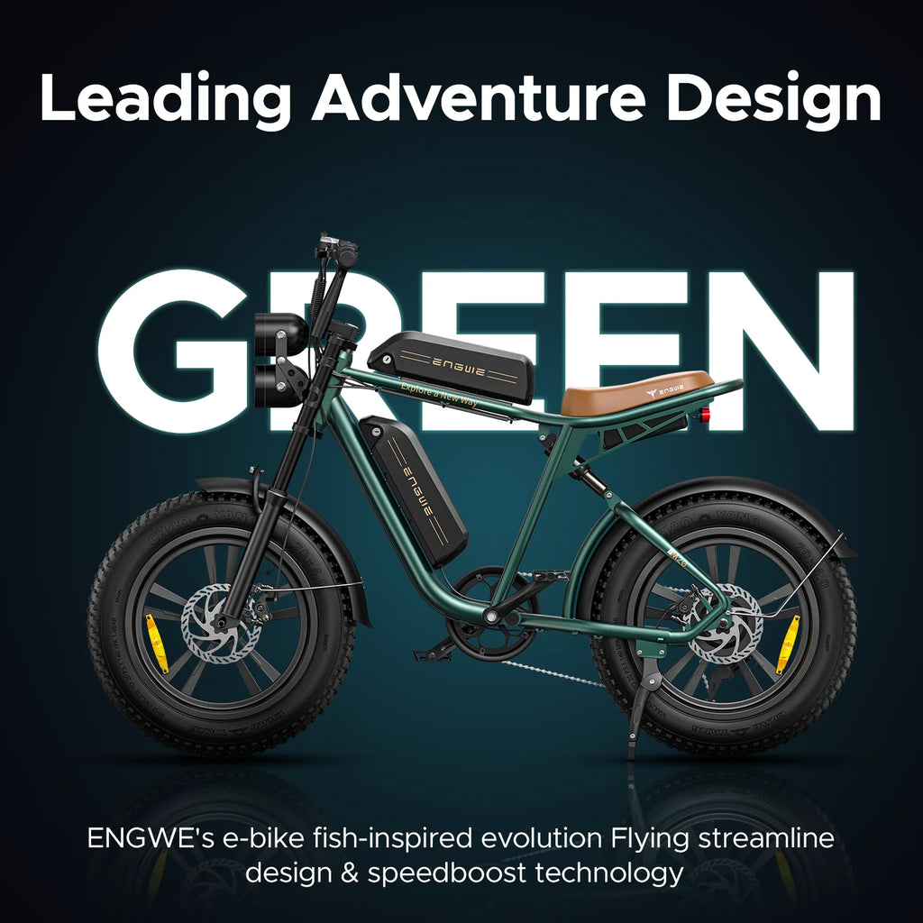 ENGWE 750W Electric Bike