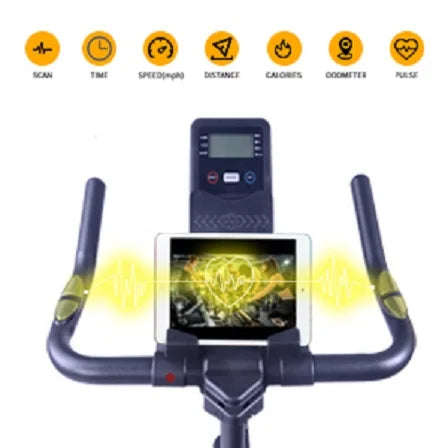 Spin Bike with LCD Monitor & Cushioned Seat