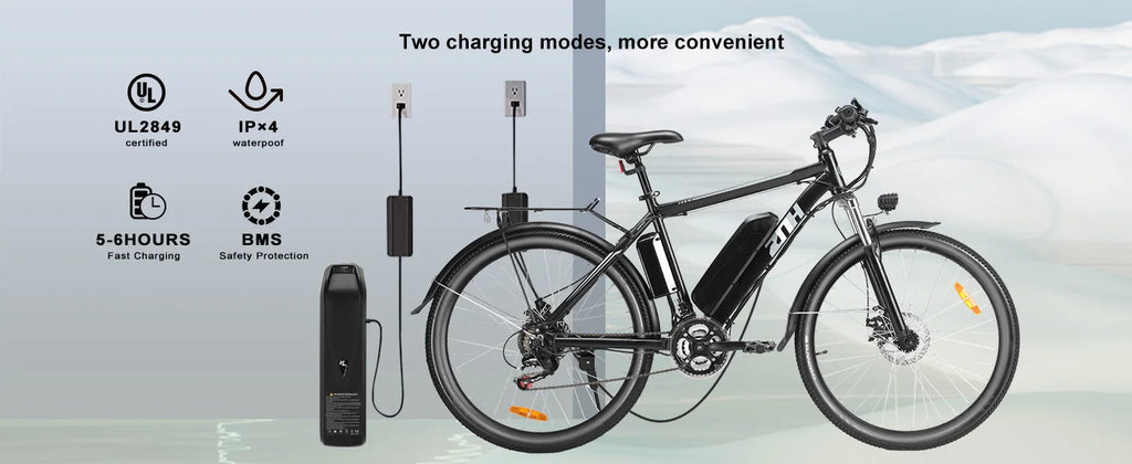 1000W 48V Electric Bike