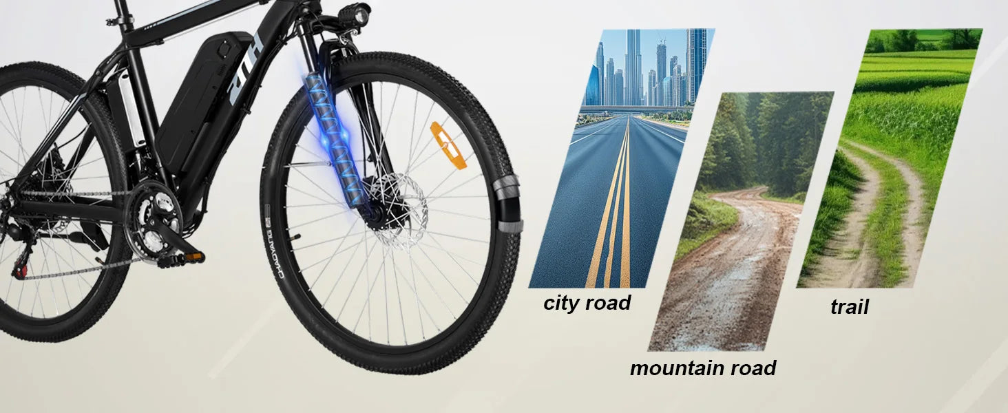 1000W 48V Electric Bike