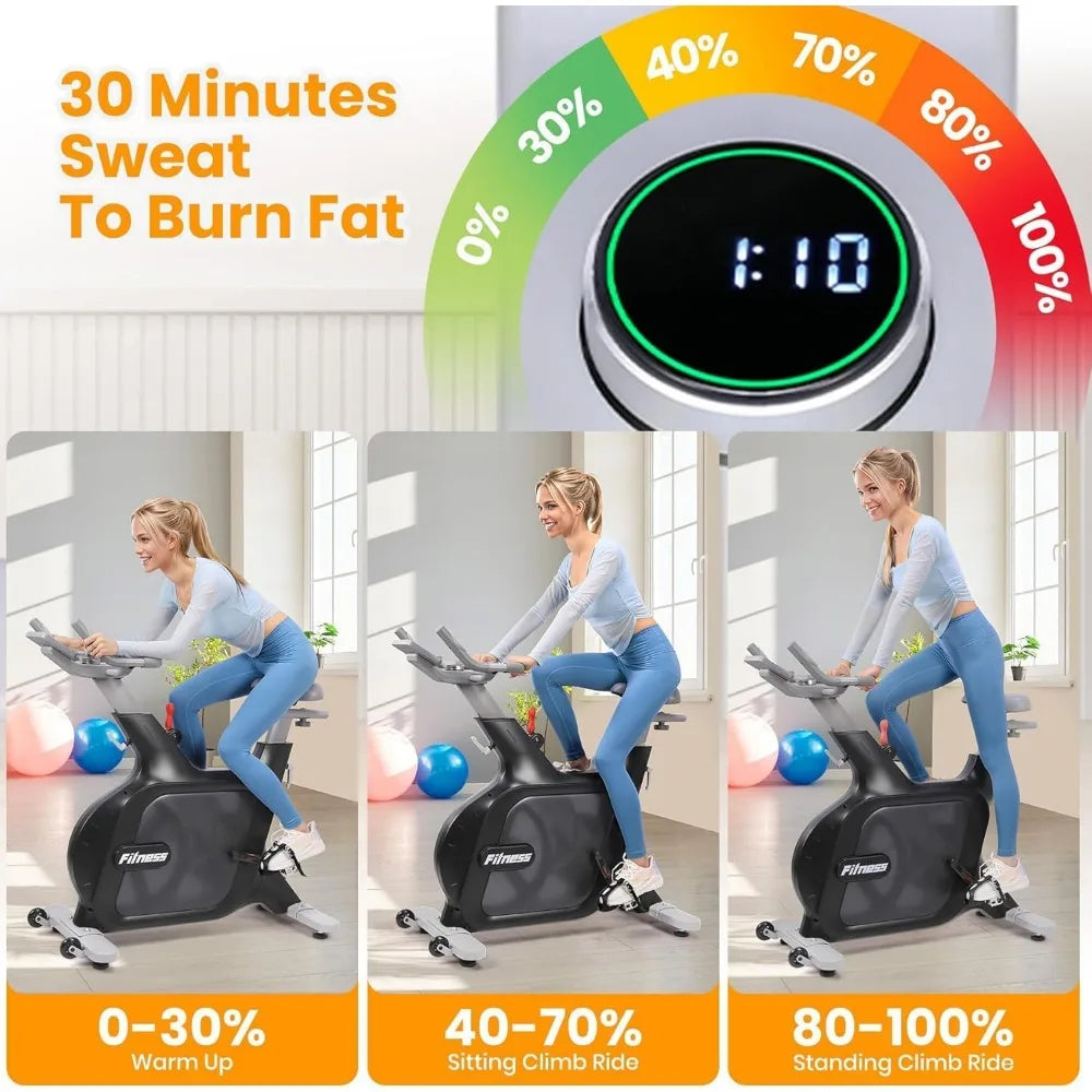 Electromagnetic Resistance Spin Bike