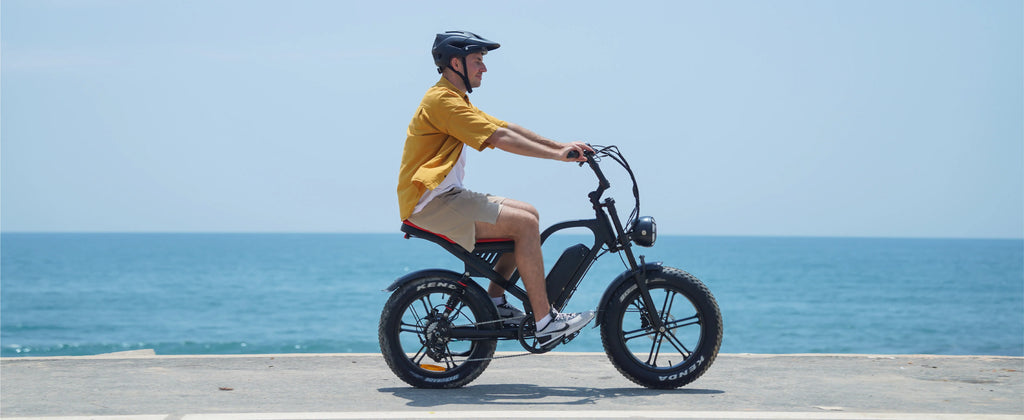 1500W Road & Mountain Hybrid Electric Bike