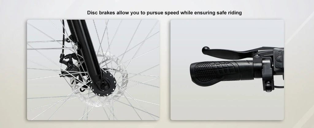 1000W 48V Electric Bike