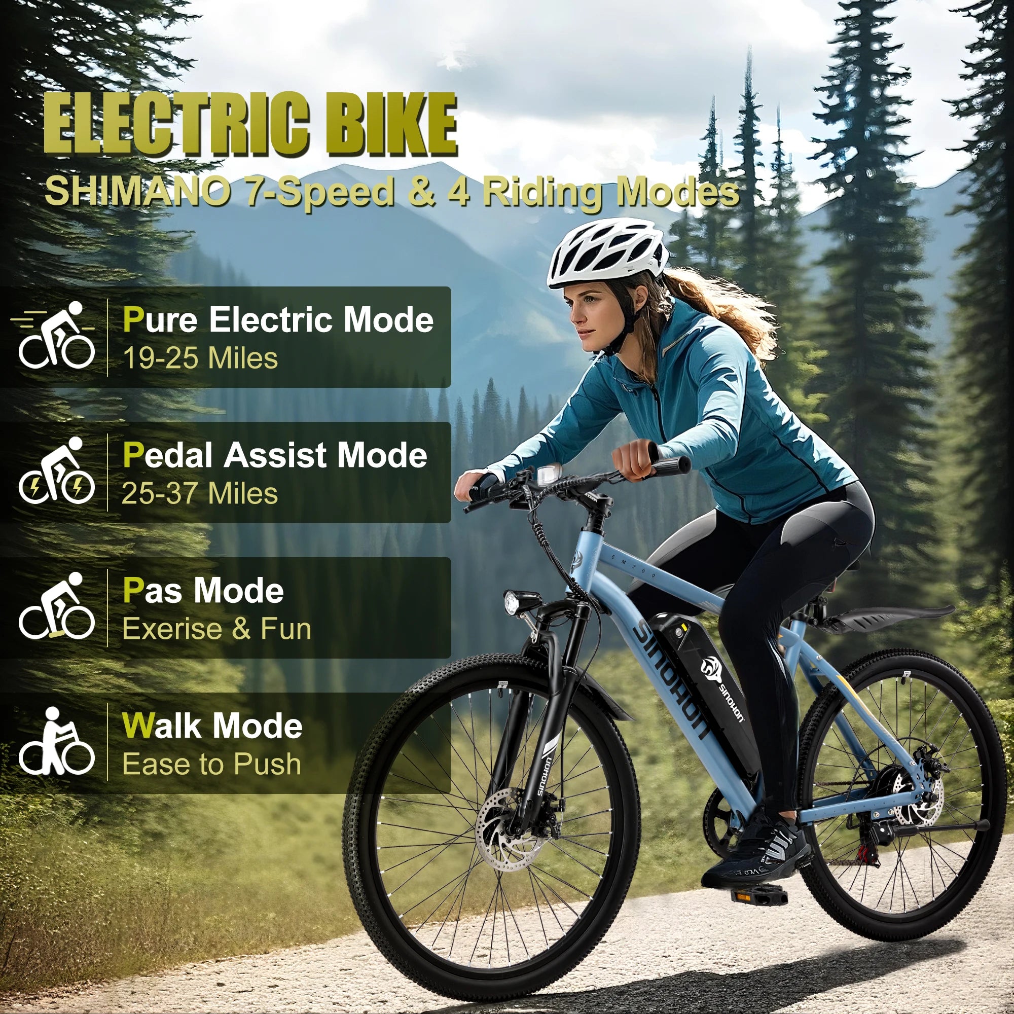 Mountain E-Bike